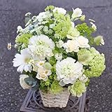 白・グリーン系でおまかせフラワーアレンジメント (一方見・Mサイズ) アレンジメントフラワー ギフト 生花 花 プレゼント 誕生日 結婚記念日 お祝い 開店祝い 還暦 母の日 ペット お供え 白 グリーン white green