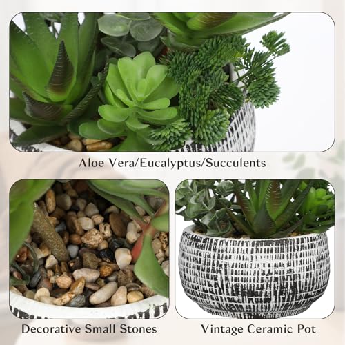 Hollyone Fake Succulents in Cement Pot, Mixed Artificial Succulents Faux Greenery Indoor, Decorative Artificial Plants for Home Decor, Living Room, Bathroom, Kitchen, Shelf, Desk Decorations