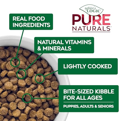 Image of NATURE'S LOGIC Pure Naturals Synthetic-Free Dry Dog Food - Beef, 12 lb