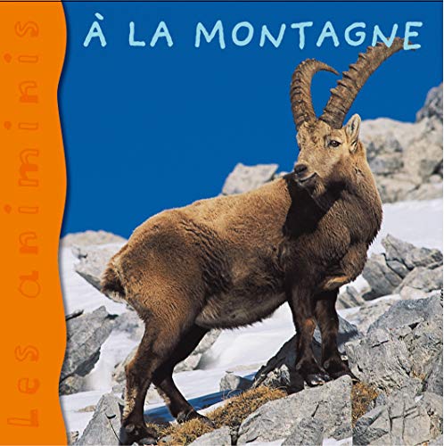 A la montagne