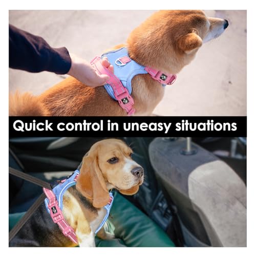 No Pull Dog Harness Reflective Adjustable Puppy Vest with Handle | Baby Blue Base & Pink Straps,M, Quick-release at Neck, Front & Back Leash Hooks,Breathable Mesh, for Small Medium Large Dogs - Image 5