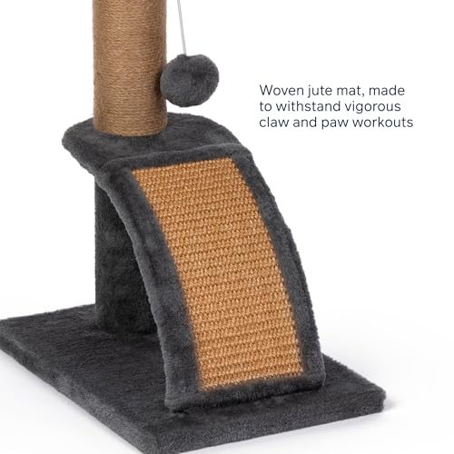 Gimnasio rascador para gatos Prevue Pet Products miniatura 4