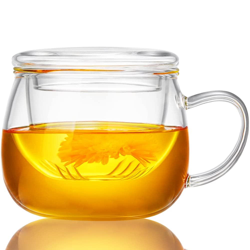 WHJY Tasse à thé en verre avec infuseur et couvercle, tasse à thé en verre de 355 ml avec passoire, tasse à thé en vrac pour une personne, tasse à thé en verre borosilicate sans plomb, résistance à la