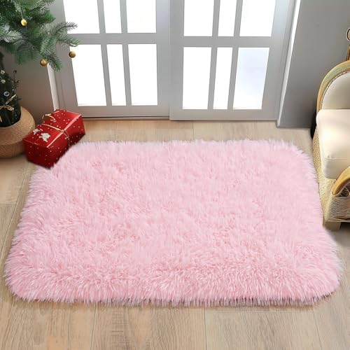 Small Pink Rug for Bedroom, 2x3 Fluffy Shaggy Area Rugs for Girls Kids Room, Soft Non-Slip Fuzzy Shag Carpet for Living Room, Indoor Floor Throw Rugs for Home Decor