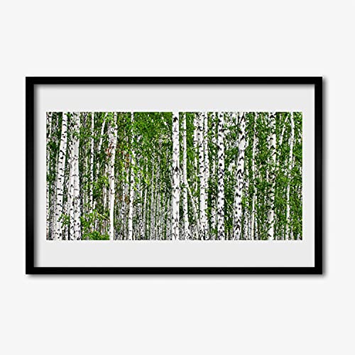Image photo affiche avec cadre premium 60x40cm thème forêt de bouleaux design épuré