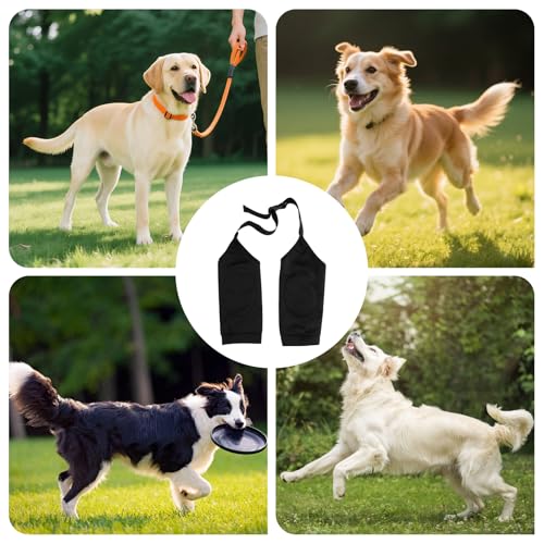 Ellenbogenbandage Hund, Weich Gepolsterte Ellbogenbandage für Haustiere, Ellbogenschoner für Hunde, Hund Chirurgie Erholung Recovery Sleeve für Vorderbeine von Wunden Hilft Bei Arthritis, Anti Lecken