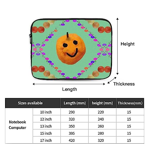 Citrus Laptop Sleeve Case 17 Inch Suitable For Notebook Computer Tablet Traveling Carrying Simple Case4