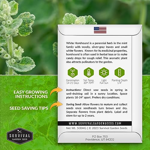 Survival Garden Seeds - Horehound Seeds for Planting - 2 Packets with Instructions to Plant and Grow Beneficial Marrubium Medicinal Herbs in Your Home Vegetable Garden - Non-GMO Heirloom Variety - Image 2