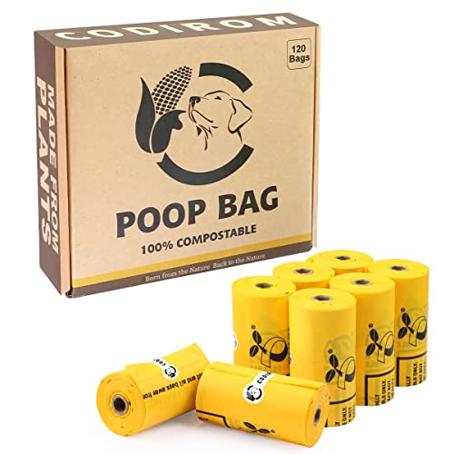 Does Dog Poop Decompose And Dissolve In Rain Conserve Energy Future