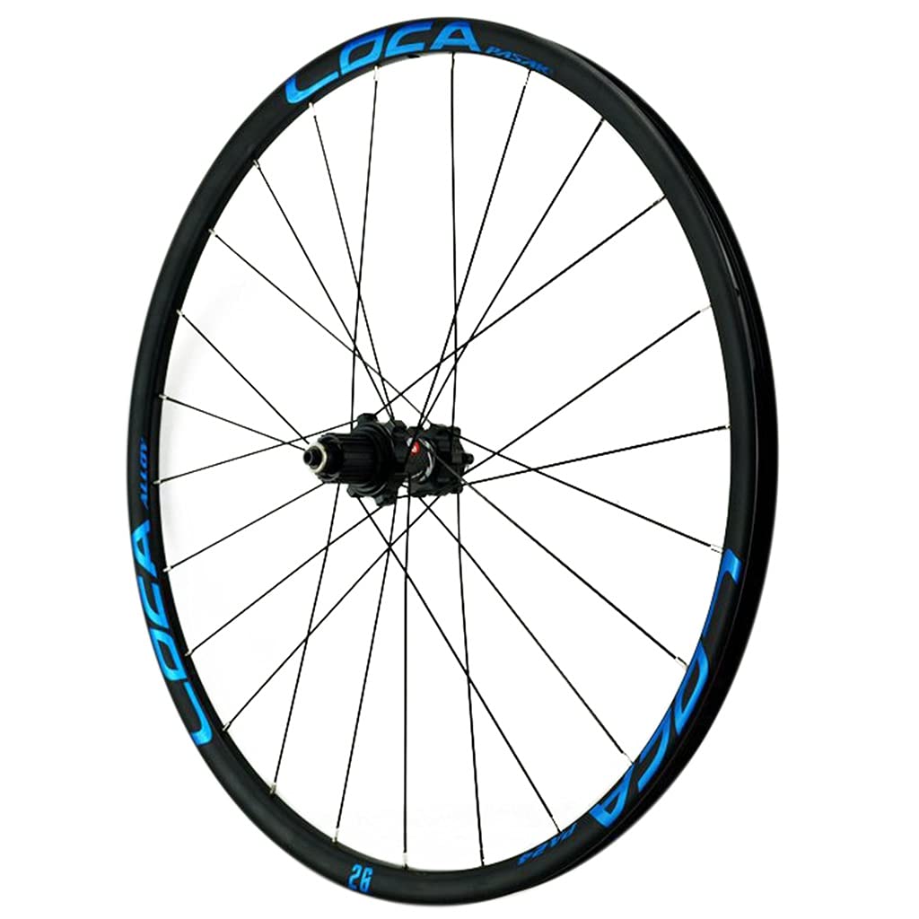 ZFF 26/27.5/29" Mountain Bike Set di Ruote Lega di Alluminio Rim MTB Ruote Rilascio Rapido Freni A Disco 24 Fori Ruota della Bici Micro Spline 12 velocità (Color : Blue, Size : 29in)