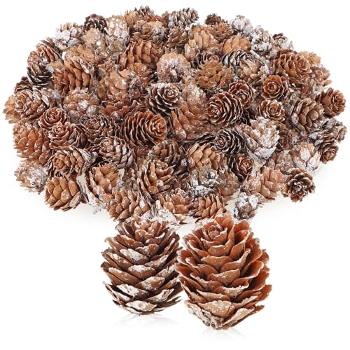 com-four® 100x Dekozapfen Lärche - Streudeko für Herbst und Winter...