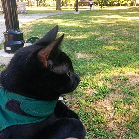Mynwood Cat Jacket/Harness Green Adult Cat Cover