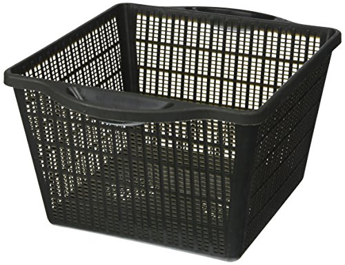 Laguna Sturdy Plastic Square Planting Basket 6-Inch
