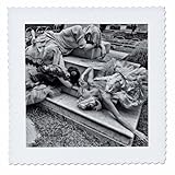 Square dimensions (in inches): 12 L x 12 W, image dimensions (in inches): 10 L x 10 W 100% poloyester; image is soft to touch. Made in USA Edges have pinking shear cut Image will not fade with washing. Image not a transfer, part of material