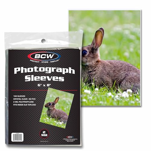 BCW 6x8 Archival Photo Sleeves - 100 Pack