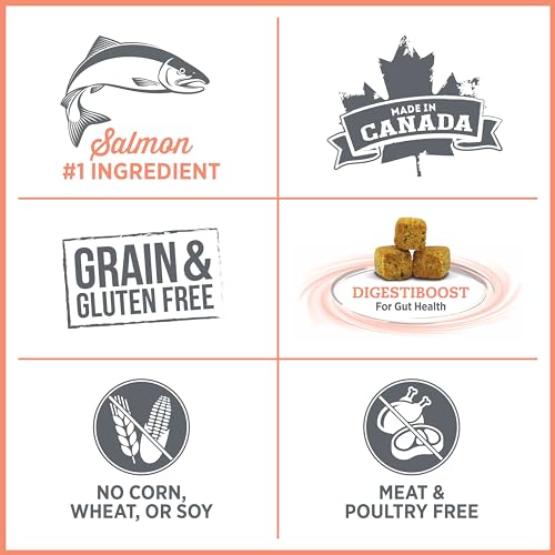 Nutrience Care Sensitive Skin & Stomach Hypoallergenic Adult Dog Food, 10 kg (22 lb), Salmon & Pumpkin, Grain & Gluten Free, Fresh Canadian Protein, Dry Dog Food, Nourriture Pour C image 4