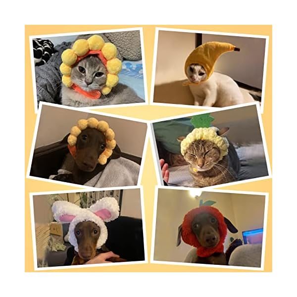 Weewooday 5 pieces bunny hat with ears funny banana pineapple hat for cats and small dogs kitten puppy party costume accessory headwear(cute style) - image 8