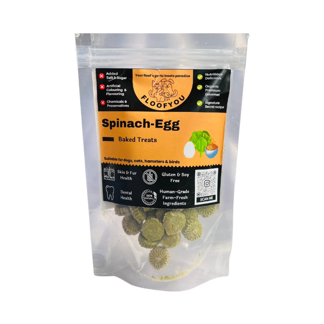 FloofYou Spinach-Egg Cookies Small Bite-Sized Natural Healthy Treat for Hamsters and Birds