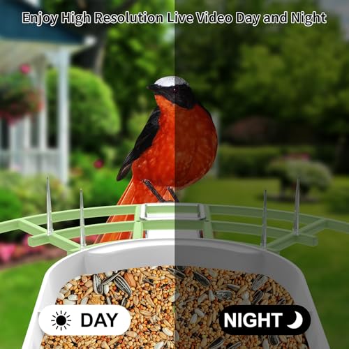 Image of Bird Feeder with Camera,Smart AI Birds Breed Recognition,Birds Motion Detection with Real-Time Notice,Auto Capture Bird Watching WiFi Camera,Solar-Powered Outdoor Charging Bird House,Ideal Gifts,Green