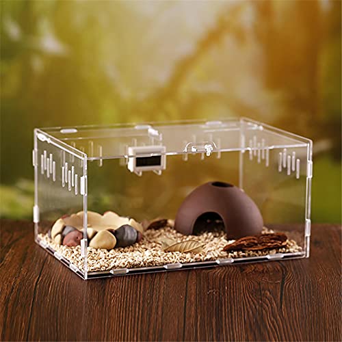 Foxglove Reptiel Voeden Doos Fokken Doos Transparant Glas Fokken Doos Terrarium Terrarium Feeder Slangen Spin Hagedis… - Afbeelding 6