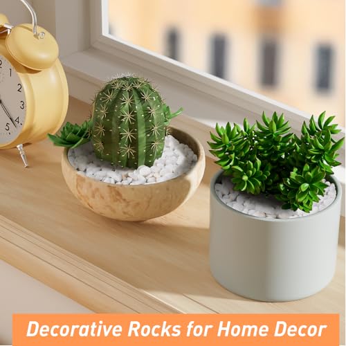 Image of 5 lbs White Aquarium Gravel, 1 /5 Inch White Rocks for Plants, Small Pebbles for Vases, Succulents, Bamboo, Natural Decorative Pebbles for Plants Drainage, Cactus, Crafts