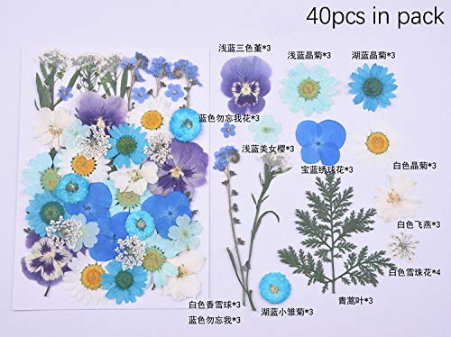Flores Naturales Secas para Manualidades DIY miniatura 2