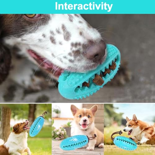 NIEEKRUN Hundespielzeug Intelligenz, Leckerli Ball für Hunde, Starker Futterball Naturkautschuk und Zahnpflege, Kleine und Große Hunde Hundespielzeug Unzerstörbar (11,5 * 5cm Blau)