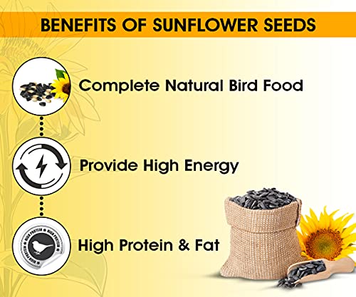 Image of BOLTZ Striped Premium Sunflower Seeds for Birds, Bird Food for Lovebirds, Cockatiels, Sun Conure, African Grey Parrot, Amazon, Macaws, Cockatoos for All Life Stages (3Kg(Pack 3))