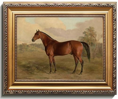 uniro Vintage Gold Framed Horse Wall Art, Farmhouse Decor Horse C...