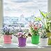 Akarden 8 PCS 4'' Colorful Plastic Plant Flower Seedlings Nursery Pot/Pots, Flower Pot with Pallet, Garden Plant Pot Home Decoration
