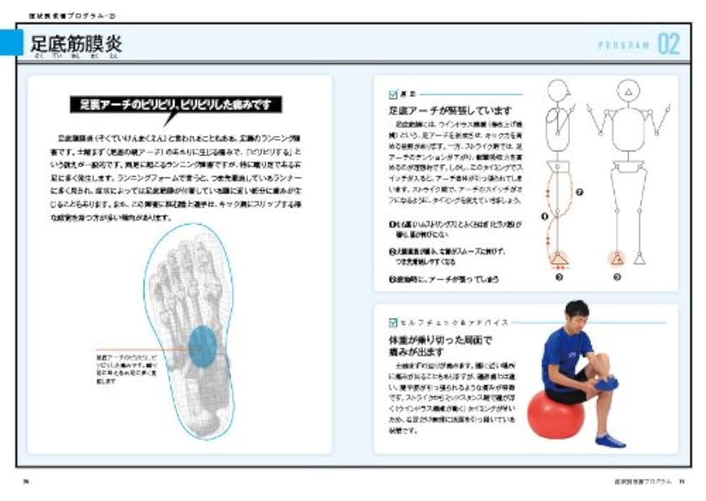 ランニング医学大事典 ランニングと膝の軟骨｜Super Human | 理学療法士／保健学博士 Ph.D.