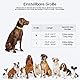KOSKILL Leuchthalsband Hund Wiederaufladbare USB LED Hundehalsband Wasserdichtes Leuchtendes Hunde Halsband Einstellbare Super Helle für Mittlere Große Hunde (Grün, L)