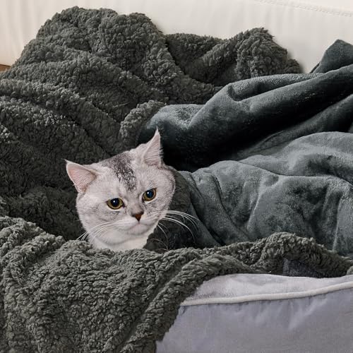 Dogat wasserdichte Hundedecke waschbar 100x80cm beidseitig verwendbare Haustierdecke für kleine und mittelgroße Hunde und Katzen Sofabezug und Bettschutz weiche Sherpa-Fleece- und Flanelldecke grau