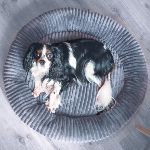 4L Textil Luna Kuscheliges Hundebett mittelgroße Hunde Katzenkörbchen flauschig Hundekörbchen mittelgroße Hunde Hundekorb für Welpen Hundekissen Katzen Sofa waschbar(75x65 cm, Rosa)