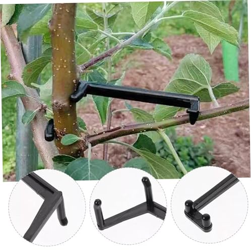 Separadores Ajustables para Ramas de Árbol Frutal, 20 Piezas miniatura 5