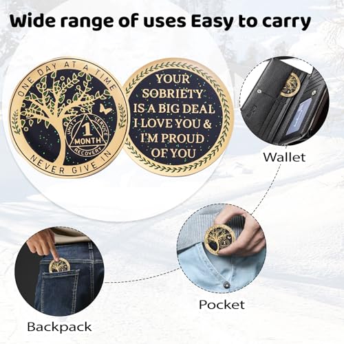 One-Month-Sobriety-Coin-AA-Chips-and-Medallions-Tree-of-Life-Recovery-Coins-30-Days-Anniversary-Token-Sobriety-Gifts-for-Men-Women-Alcoholics-Anonymous-Gifts