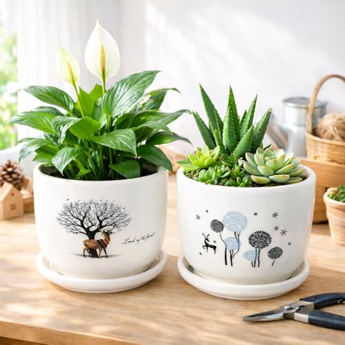 Image of Xtore Charming Ceramic Planter Pots with Drain Tray | Set of 2 Decorative Flower Pots for Indoor Plants, Balcony & Tabletop Styling (Pack of 2, Planters only)