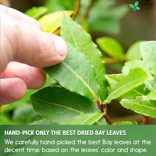 Image of FreshDrinkUS, Premium 18oz Dried Bay Leaves, 100% Natural & Pure from Bay Leaf, Bay Leaves Spice, Wildcrafted, Fresh Harvested, Bay Leaves For Cooking, Sugar-Free, Gluten Free, Caffeine Free, Vegan