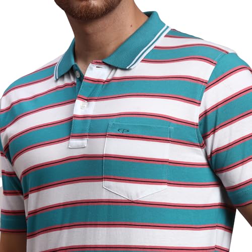 Image of Colorplus Men's Pure Cotton Stripe Pattern Classic Fit Polo Neck Half Sleeve Casual T-Shirt