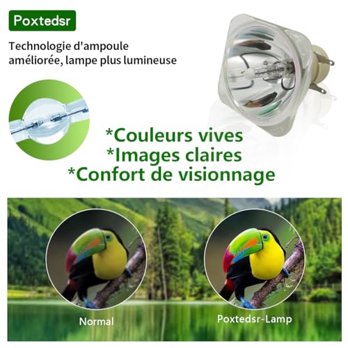 Poxtedsr UHP190/160W 0.8 E20.9 Replacement Projector Bulb Lamp Compatible with BENQ TX538 EP5920 TS513P TS819ST DX818ST DX819ST W1060 W700 W700+ W703D MW512 - Image 4
