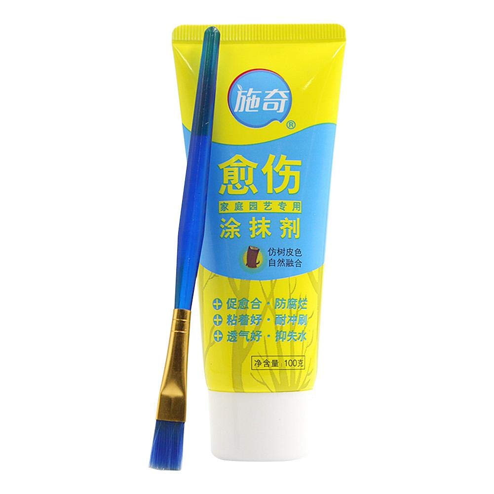 100g Tree Wound Bonsai Cut Paste Smear Agent Pruning Compound Sealer with Brush