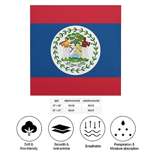 Flag of Belize Women's Neckerchief Scarf Square Head Scarves Head Hair Wrap Bandana2