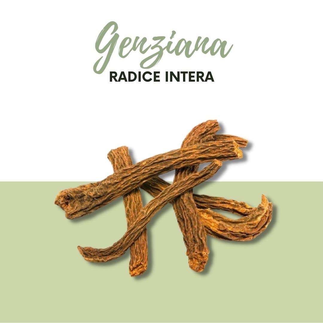 NATURA D'ORIENTE | Genziana radice Intera 200g - Radici Naturali per Liquori e Digestivi – Radice Essiccata di Alta Qualità, Amara e Aromatica, Ideale per Uso Erboristico e Artigianale