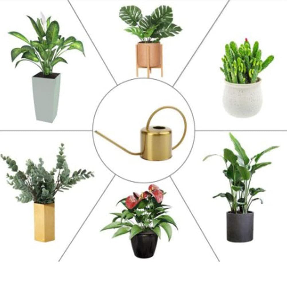Długa Wylewka Podlewanie Puszka 1000ml Ze Stali Nierdzewnej Podlewanie Garnek Retro Ogrodnictwo Narzędzia do Home Office, Kryty Outdoor House Plant Podlewanie (Color : Gold)