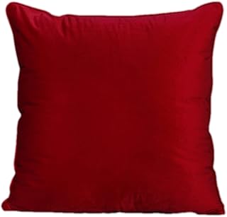 Pack of 2 Plain Velvet Soft Decorative Square Throw Pillow Case Cushion Covers 60cm x 60cm 24x24 Inch Pillowcases for Living room Sofa Bedroom with Invisible Zipper Set of Two (24X24 INCHES, RED)
