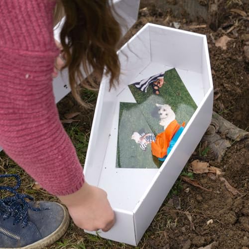 FOLDZILLA Tiersarg aus Pappe für Hunde, Katzen und Kleintiere 61 x 31 x 21 cm Pappsarg zum pietätvollen Abschied nehmen - Weiß zum Bemalen/Bekleben