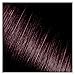 Kiss Express Semi-Permanent Hair Color – Vivid, Highly Pigmented Dye for Vibrant Hair, Gentle Formula, Gray Coverage, pH Balanced,23 Intermixable Shades, All Hair Types (3.5 oz, Darkest Brown,1 Count)
