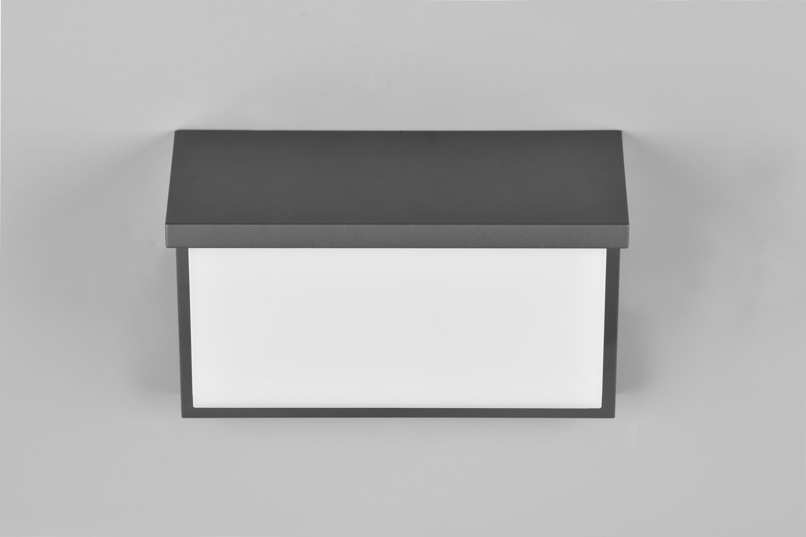 Trio Leuchten LED Außen Wandleuchte Nestos 240960142, Aluminium Druckguss Anthrazit, Schirm Kunststoff Weiß, inkl. 13 Watt LED |