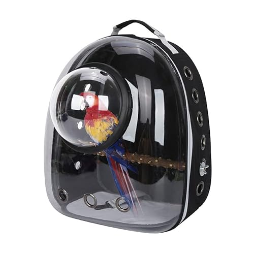 Mochila para porquinho-da-índia, bolsa panorâmica respirável para animais de estimação, cápsula espa