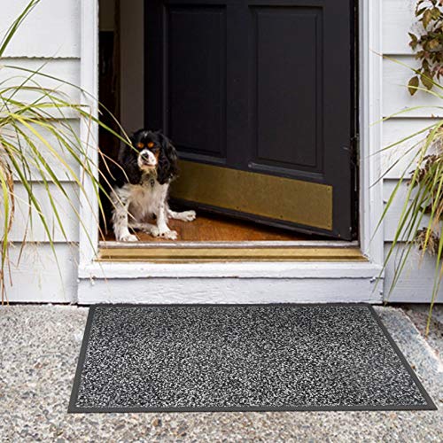 image for Mibao Door mat, 24 x 36 inch Rubber Backing Non Slip Low-Profile Super